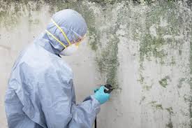 Best Mold Documentation for Insurance Claims  in Mountlake Terrace, WA